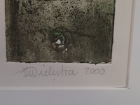 Kleuren ets, t. diekstra, terra incognita ii - 3/45, 2000 - afbeelding 6 van  9