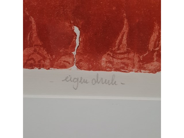 Kleuren ets, t. diekstra, terra incognita ii - 3/45, 2000 - afbeelding 7 van  9