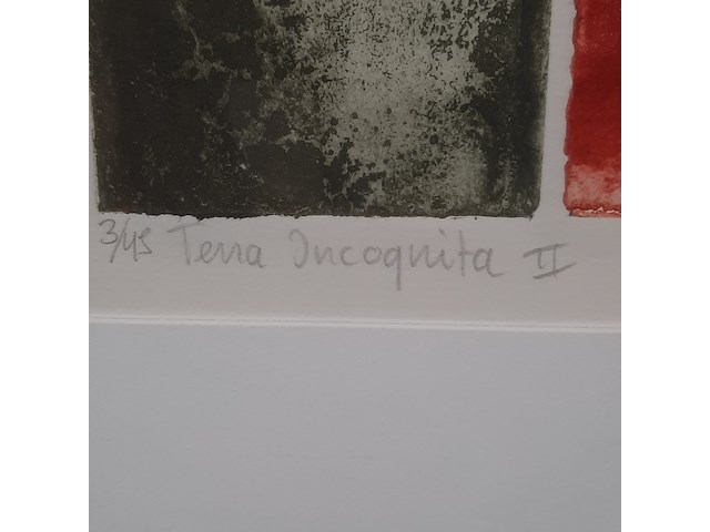 Kleuren ets, t. diekstra, terra incognita ii - 3/45, 2000 - afbeelding 8 van  9