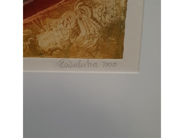 Kleuren ets, t. diekstra, terra incognita iii - 3/45, 2000 - afbeelding 5 van  9