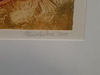 Kleuren ets, t. diekstra, terra incognita iii - 3/45, 2000 - afbeelding 5 van  9