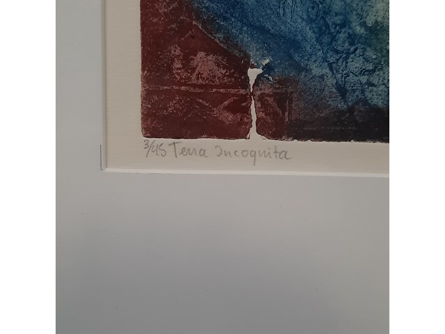 Kleuren ets, t. diekstra, terra incognita iii - 3/45, 2000 - afbeelding 7 van  9