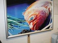 Kliklijst 120 x 170 cm. - afbeelding 1 van  2