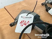 Knabbelschaar - afbeelding 4 van  6