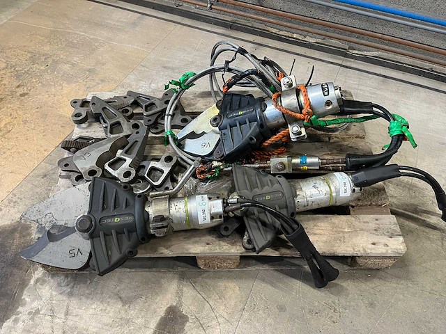 Knipschaar - afbeelding 2 van  8