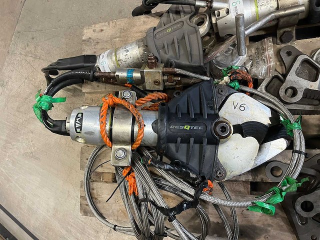 Knipschaar - afbeelding 5 van  8