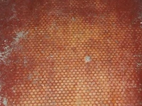 Koelcel - 175x210x210cm (binnenmaat) & 190x230x230cm (buitenmaat) - afbeelding 12 van  12