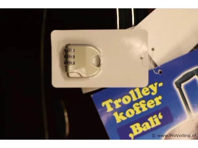 Koffer - 2 stuks - afbeelding 5 van  6