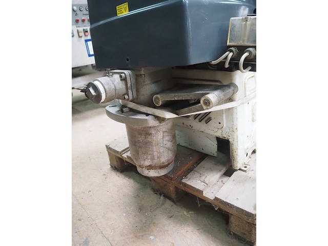 Körting - afbeelding 8 van  12