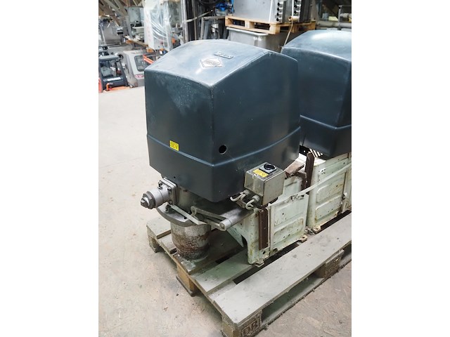 Körting - afbeelding 5 van  12