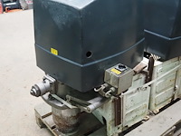 Körting - afbeelding 5 van  12