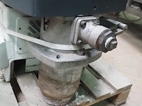 Körting - afbeelding 8 van  12