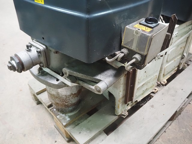 Körting - afbeelding 9 van  12