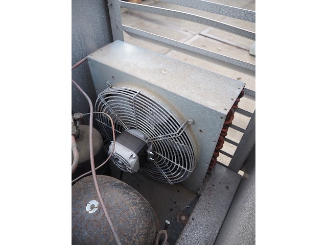 Kovu - afbeelding 6 van  8