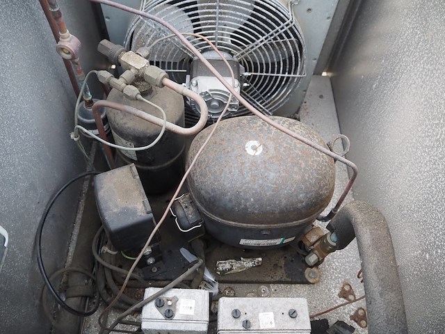 Kovu - afbeelding 7 van  8