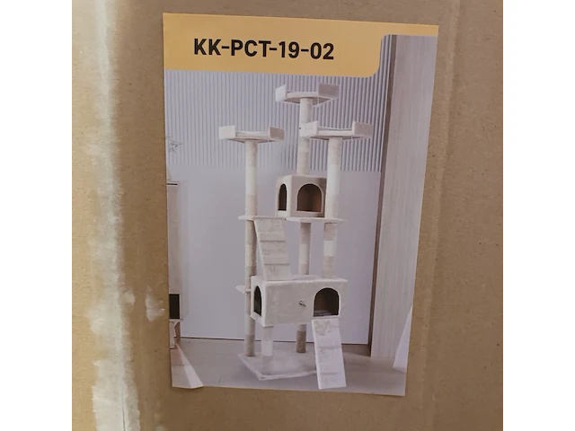 Krabpaal kat, 2025 - afbeelding 1 van  2