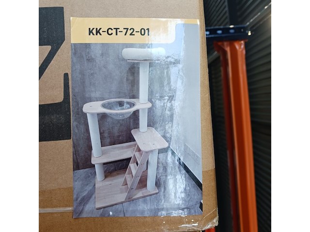 Krabpaal kat kitten, 2025 - afbeelding 1 van  2