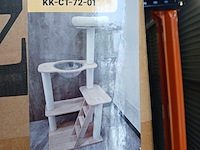 Krabpaal kat kitten, 2025 - afbeelding 1 van  2