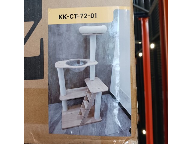 Krabpaal kat kitten, 2025 - afbeelding 1 van  2