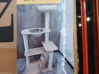 Krabpaal kat kitten, 2025 - afbeelding 1 van  2