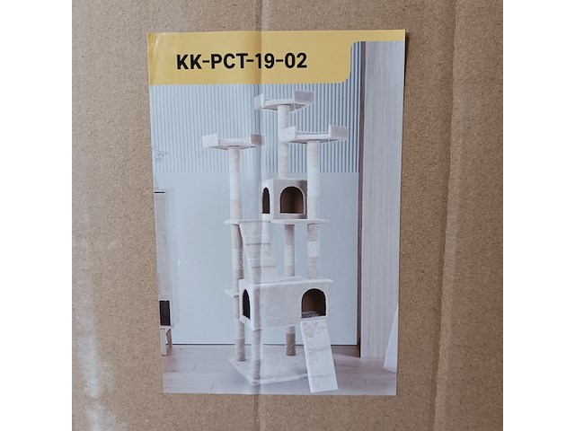 Krabpaal kat kitten, 2025 - afbeelding 1 van  2