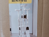 Krabpaal kat kitten, 2025 - afbeelding 1 van  2