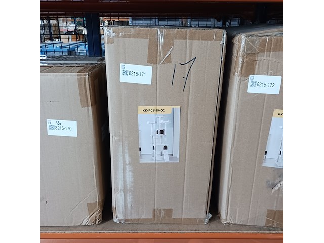 Krabpaal kat kitten, 2025 - afbeelding 2 van  2