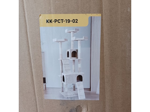 Krabpaal kat kitten, 2025 - afbeelding 1 van  2