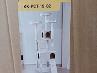 Krabpaal kat kitten, 2025 - afbeelding 1 van  2