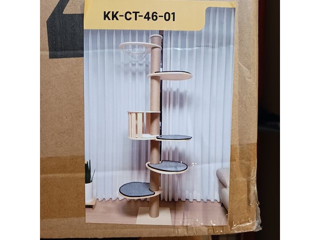 Krabpaal kat kitten, 2025 - afbeelding 1 van  2