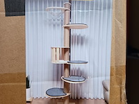 Krabpaal kat kitten, 2025 - afbeelding 1 van  2