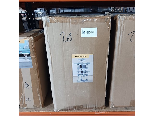 Krabpaal kat kitten, 2025 - afbeelding 2 van  2