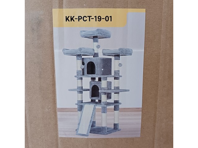 Krabpaal kat kitten, 2025 - afbeelding 1 van  2