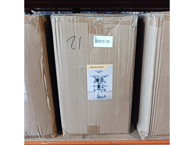 Krabpaal kat kitten, 2025 - afbeelding 2 van  2