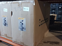 Krabpaal kat kitten, 2025 - afbeelding 2 van  2