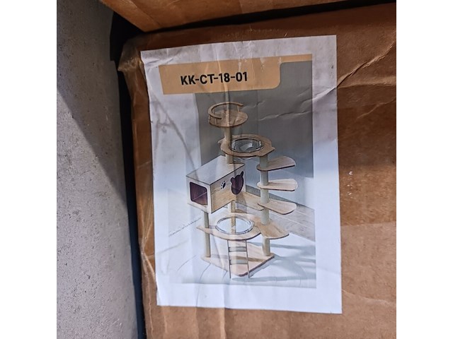 Krabpaal kat kitten, 2025 - afbeelding 1 van  2