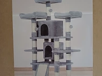 Krabpaal kat kitten, sanderz, 2025 - afbeelding 1 van  2
