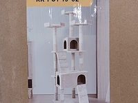 Krabpaal kat kitten, sanderz, 2025 - afbeelding 2 van  3