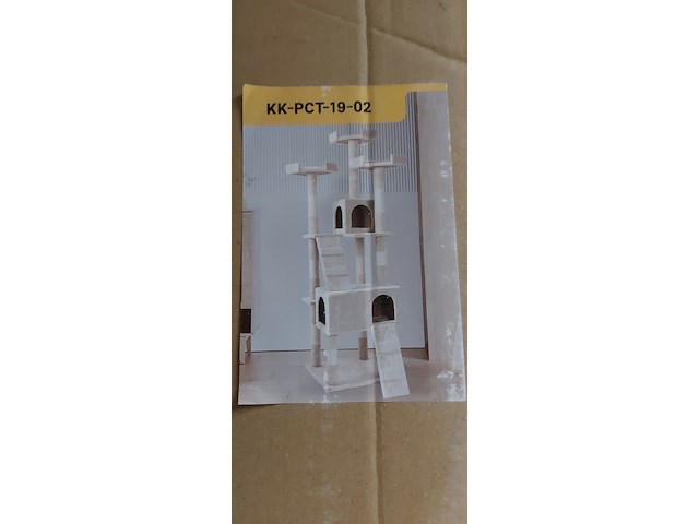 Krabpaal kat kitten sanderz, 2025 - afbeelding 1 van  3