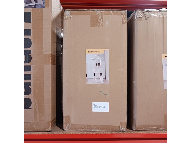 Krabpaal kat kitten sanderz, 2025 - afbeelding 3 van  3