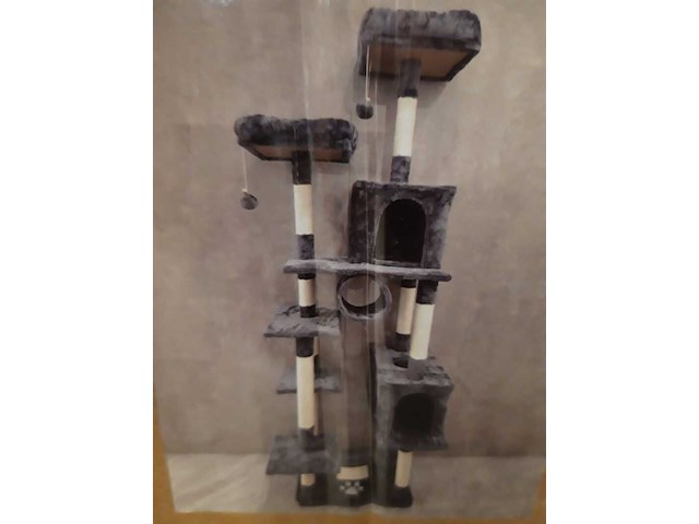 Krabpaal kat kitten sanderz, 2025 - afbeelding 1 van  3