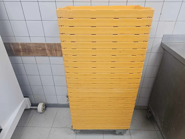 Krenten waskratten (23x) - afbeelding 1 van  3