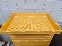 Krenten waskratten (23x) - afbeelding 3 van  3