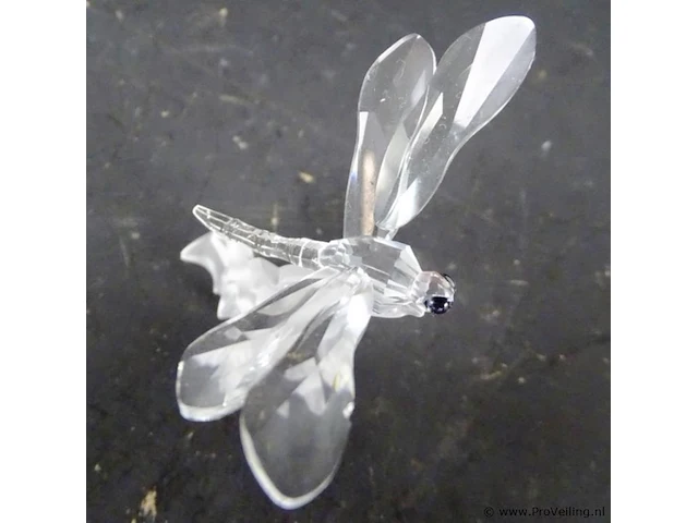 Kristallen libelle - afbeelding 4 van  5