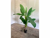 Kunst banaanplant 160 cm - afbeelding 2 van  6