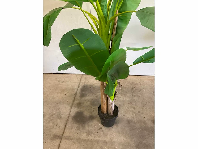 Kunst banaanplant 160 cm - afbeelding 3 van  6
