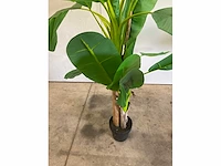 Kunst banaanplant 160 cm - afbeelding 3 van  6