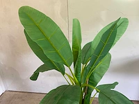 Kunst banaanplant 160 cm - afbeelding 4 van  6