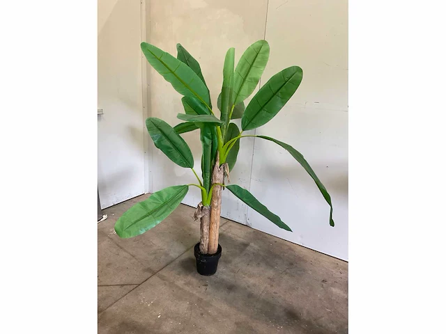 Kunst banaanplant 160 cm - afbeelding 6 van  6
