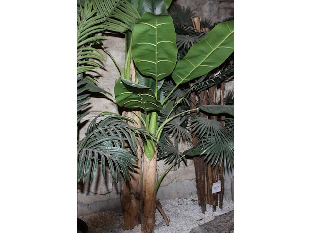 Kunst bananenboom hoogte circa 180 cm. - afbeelding 2 van  2